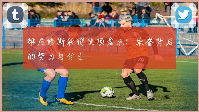 维尼修斯获得奖项盘点：荣誉背后的努力与付出