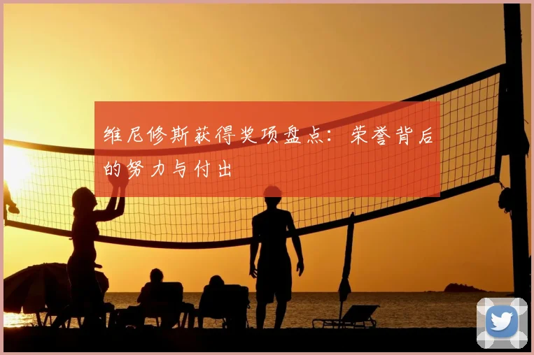 维尼修斯获得奖项盘点：荣誉背后的努力与付出