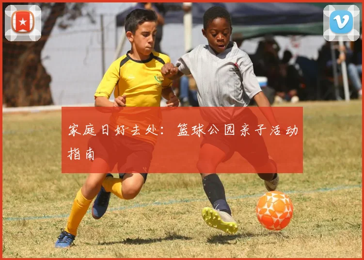 家庭日好去处:篮球公园亲子活动指南